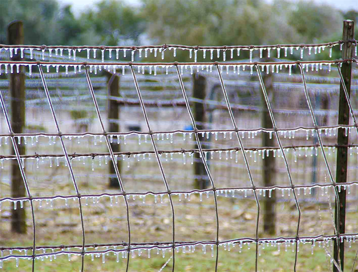 Texas Photography