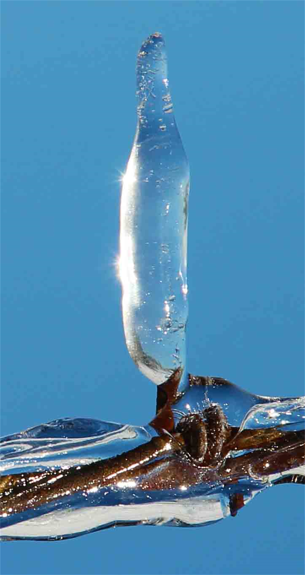 ICE Photography